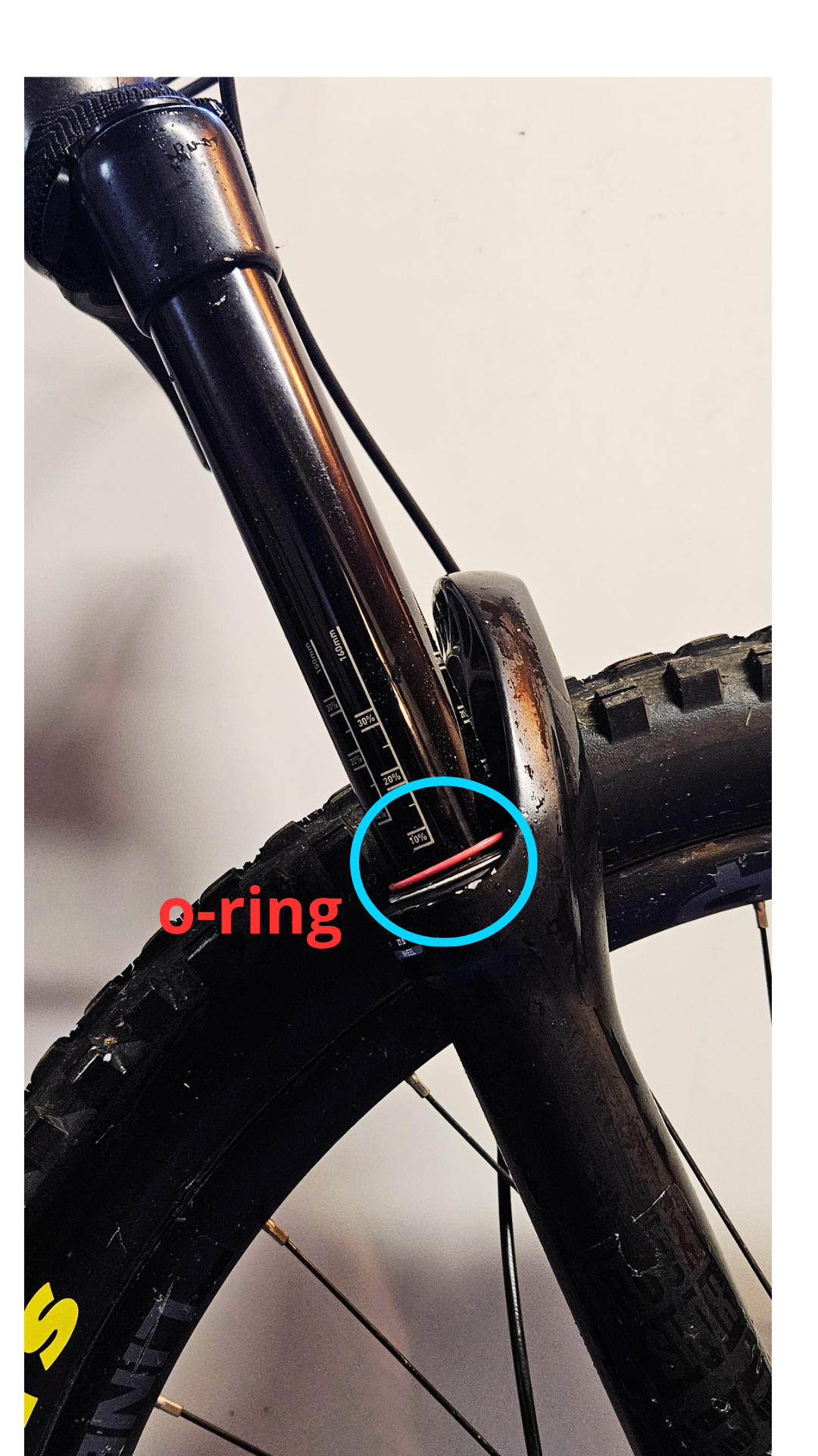 Sensor Status Screen